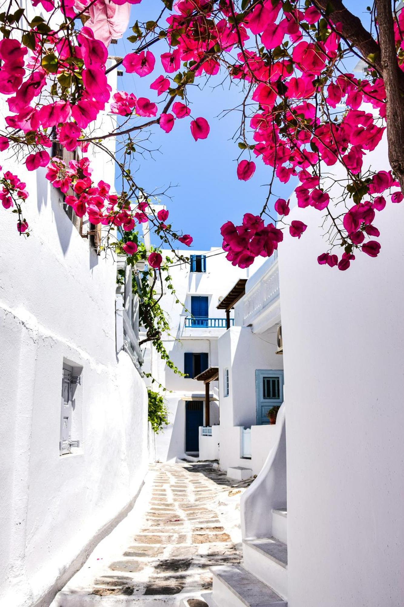 Aniko Suites White Alley Mykonos Town Exterior foto